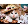 Chats - 5D Kit Broderie Diamants/Diamond Painting