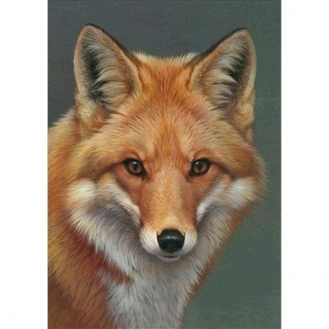 Grosses Soldes Animaux Loup Rouge - 5D Kit Broderie Diamants/Diamond Painting
