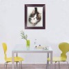 Chats - 5D Kit Broderie Diamants/Diamond Painting