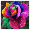 Jolies Roses Colorées - 5D Kit Broderie Diamants/Diamond Painting