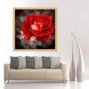 Jolies Roses Rouges - 5D Kit Broderie Diamants/Diamond Painting