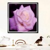 Série Rose Jolies Roses De Diverse Taille - 5D Kit Broderie Diamants/Diamond Painting