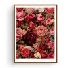 Grosses Soldes Tableau De Jolies Roses Nombreuses - 5D Kit Broderie Diamants/Diamond Painting