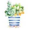 Dessin Animé De Plantes Succulentes - 5D Kit Broderie Diamants/Diamond Painting