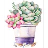 Tableau De Plantes Succulentes  - 5D Kit Broderie Diamants/Diamond Painting