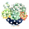 Tableau De Plantes Succulentes - 5D Kit Broderie Diamants/Diamond Painting