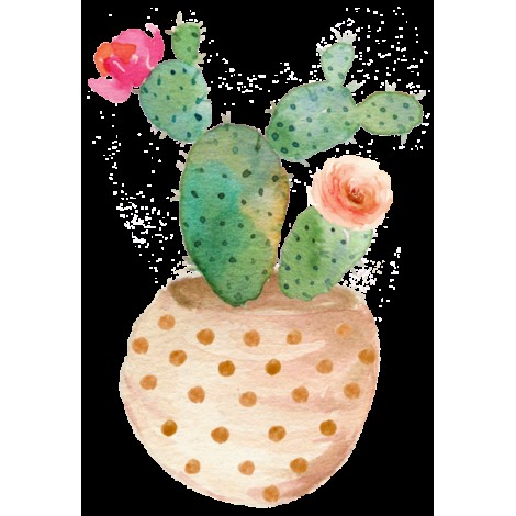 Photo De Cactus Et De Fleurs - 5D Kit Broderie Diamants/Diamond Painting