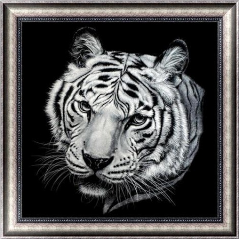 Tigre Noir Et Blanc - 5D Kit Broderie Diamants/Diamond Painting