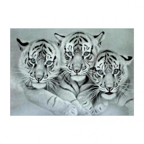 Noir Et Blanc Tigres - 5D Kit Broderie Diamants/Diamond Painting