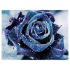 Grosses Soldes Photo De Rose Bleue - 5D Kit Broderie Diamants/Diamond Painting