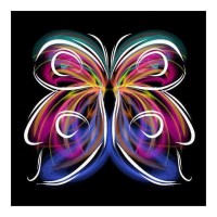 Papillons D'Art Moderne 2...