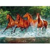 2019 Grosses Soldes Animaux Chevaux - 5D Kit Broderie Diamants/Diamond Painting