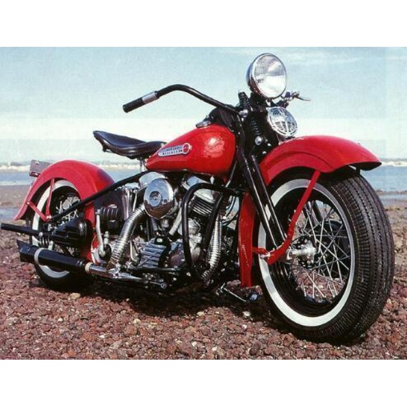 2019 Harley Moto Rou...