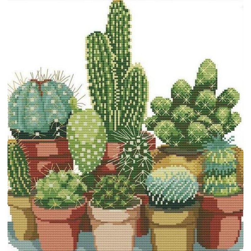 Plantes Et Cactus Br...