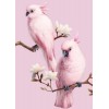 Série Rose Oiseaux Perroquets En Gros Solde - 5D Kit Broderie Diamants/Diamond Painting