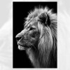 2019 Noir Et Blanc Animal Lion - 5D Kit Broderie Diamants/Diamond Painting