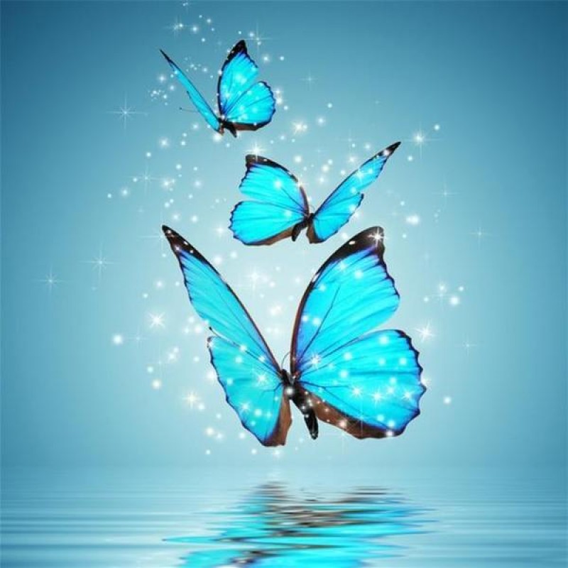 Beaux Papillons De R...